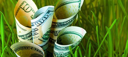 Dollar bills sprouting from grass
