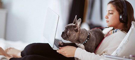 Woman and dog using laptop together