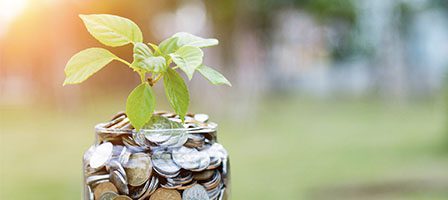 Plant growing from jar of coins