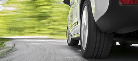 Vehicle cornering through a scenic landscape