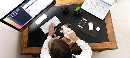Man multitasking with laptop and dog