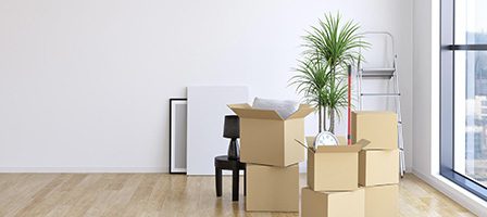 Boxes stacked near large window