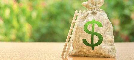 Sack of money with small ladder