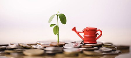 Small plant on stacked coins