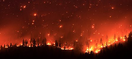 Intense wildfire spreading through trees