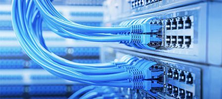 Network cables connected to server ports