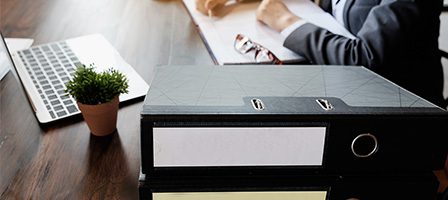 Workspace with binders and potted plant