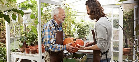 Two men holding pumpkins in greenhouse