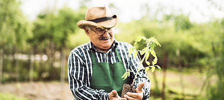 Man planting seedling in a garden.
