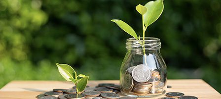 Money jar with sprouting plant