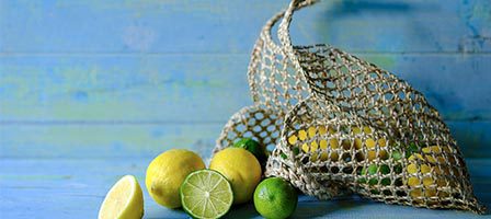 Lemons and limes in a net bag
