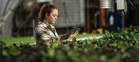 Woman using tablet in greenhouse