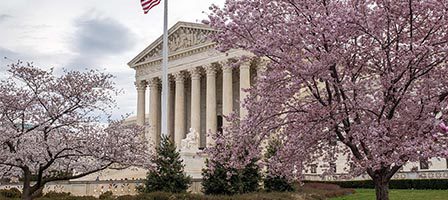 Supreme Court with cherry blossoms