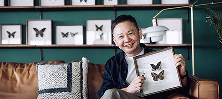 Enthusiast displaying framed insect art