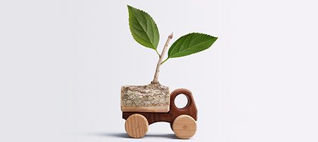 Eco-friendly toy with green leaves