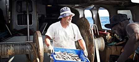 Crew handling fresh seafood catch