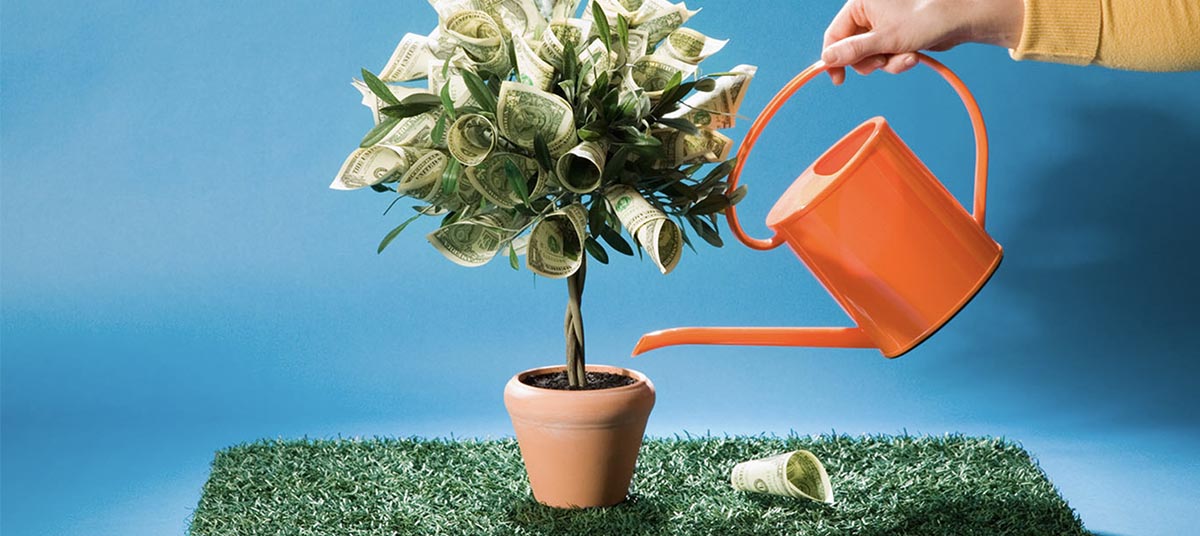 Hand watering tree with dollar bills