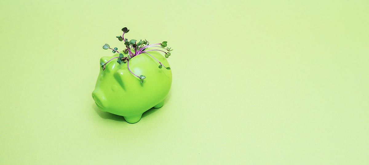 Green piggy bank with plants growing