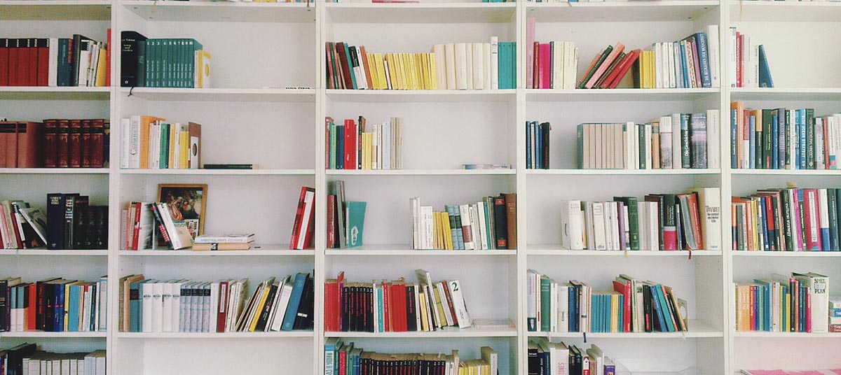 Organized library bookshelf with various books