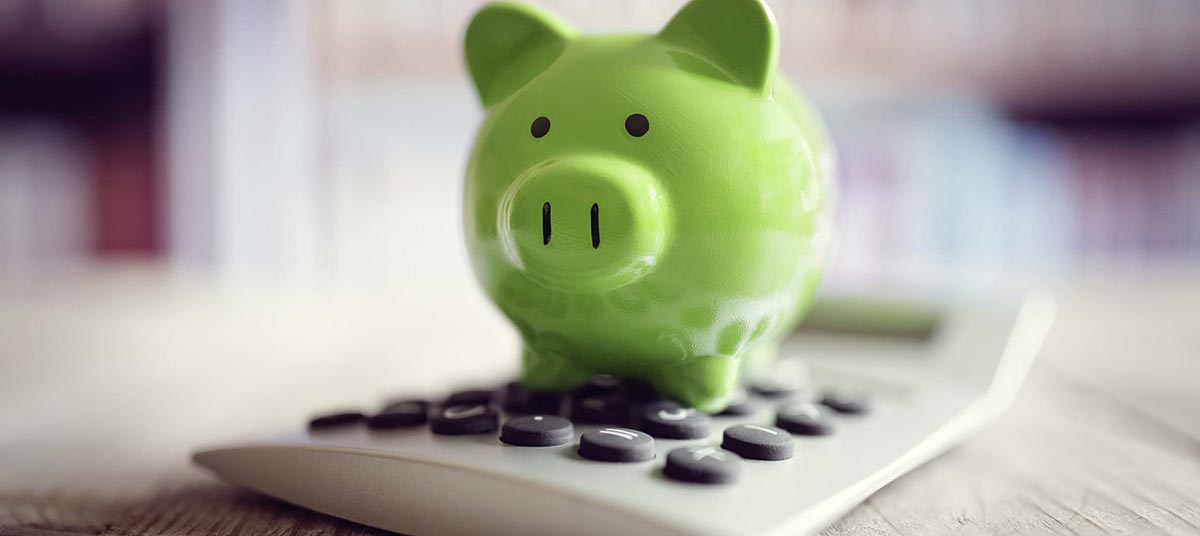 Budgeting symbol with green piggy bank
