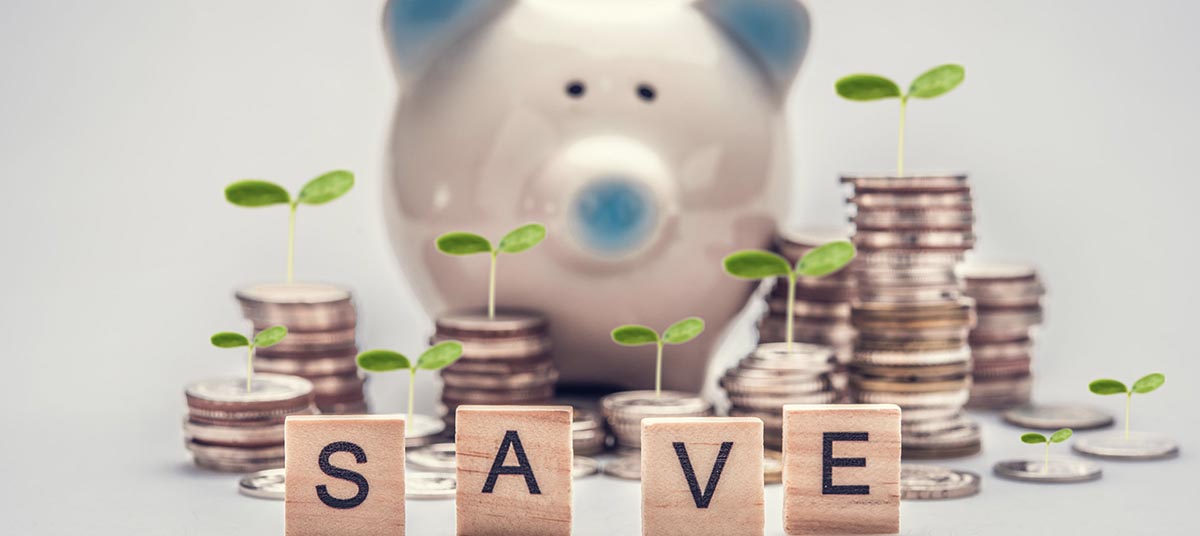 Growing savings with coins and greenery