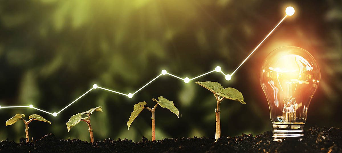 Seedlings and increasing graph line