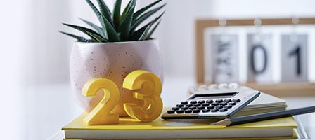 Calculator and plant on yellow books