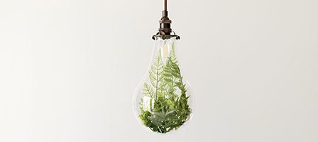 Decorative bulb with foliage display