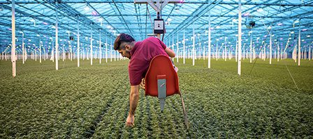 Worker in automated greenhouse chair