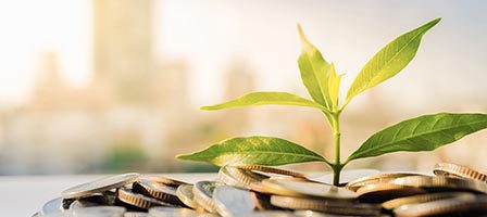 Plant growing from coins, symbolizing growth