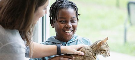 Child smiling while petting a cat